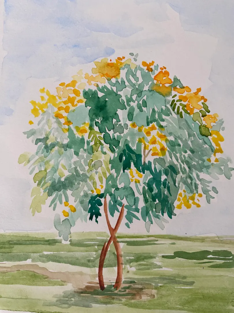 Árbol imaginado